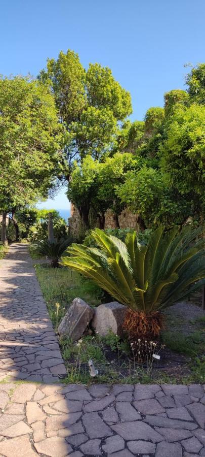 B&B Akropolis Taormina Exterior photo